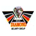 Multi Diamond Security Group